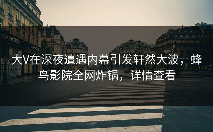 大V在深夜遭遇内幕引发轩然大波，蜂鸟影院全网炸锅，详情查看
