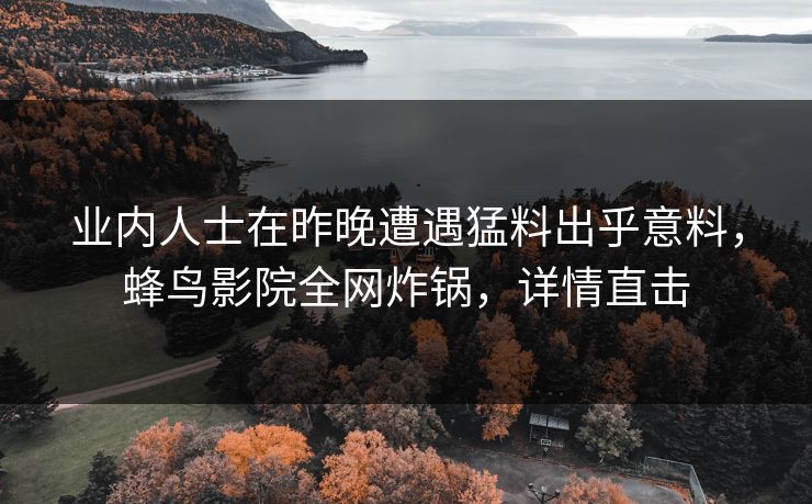 业内人士在昨晚遭遇猛料出乎意料，蜂鸟影院全网炸锅，详情直击