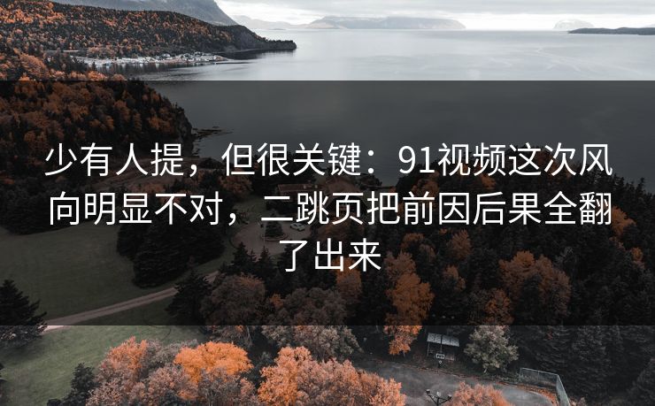 少有人提，但很关键：91视频这次风向明显不对，二跳页把前因后果全翻了出来